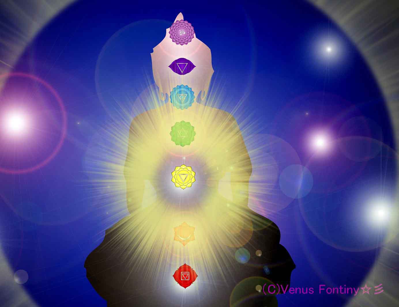 ソーラープレクサス アクティベーション チャクラ 自律神経 シャイニング スピリッツ ガーデン レイキとアチューメント専門 Venus Fontiny 彡